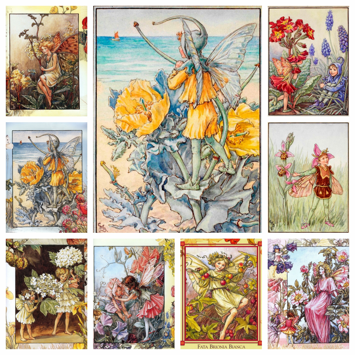 سيسلي ماري باركر عمل فني زهرة  - مراجعة Photo Mosaic Print وسعره