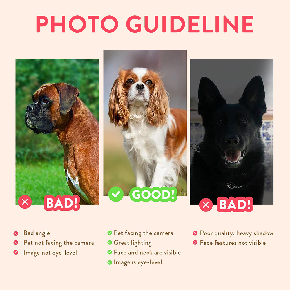 صور شخصية مخصصة للحيوانات الأل - مراجعة Pet Portrait Custom وسعره